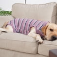 thumbnail image 2 of Ropa Fisiológica para Mascotas Sunnimix Pantalones Sanitarios Rojo, 2 of 8