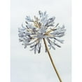 thumbnail image 3 of Frank, Assaf 19x24 Black Modern Framed Museum Art Print Titled - African Lily flower, 3 of 5