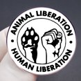 thumbnail image 3 of Broches de aleación para liberación humana y liberación animal, 3 of 3