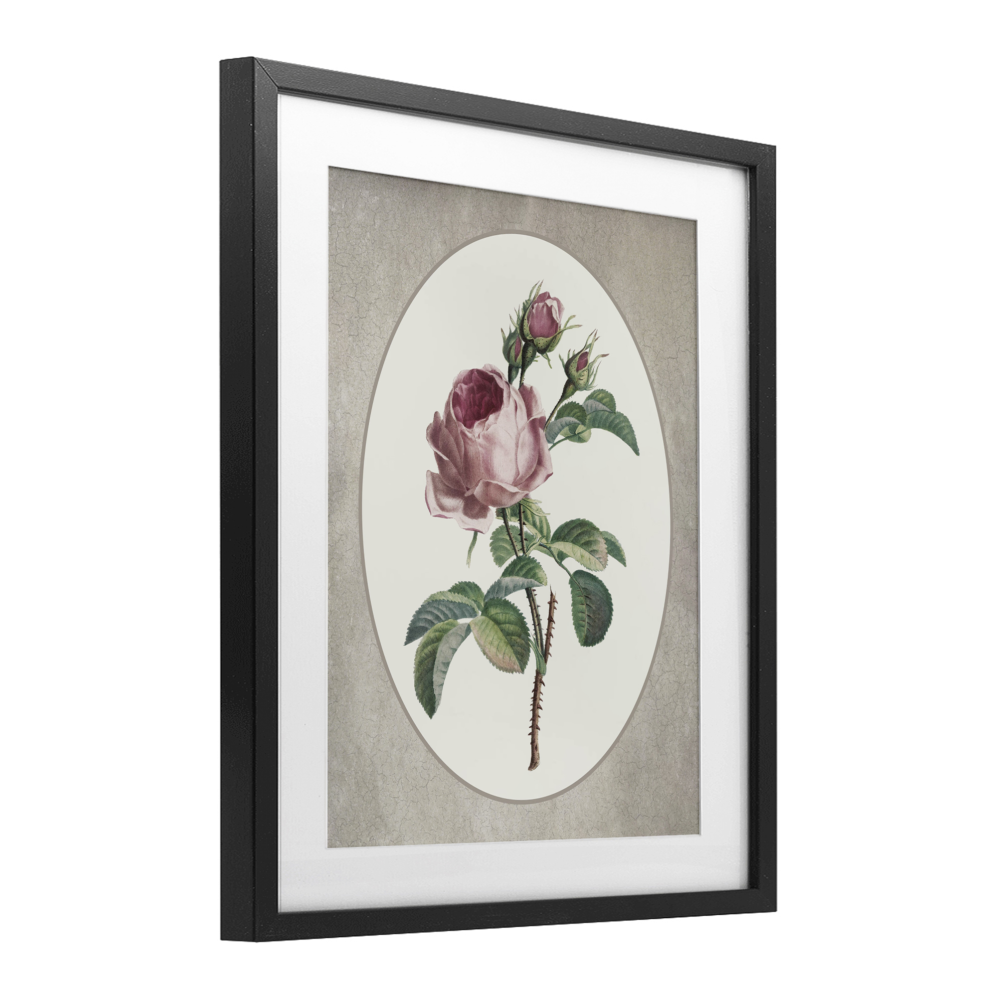 Vintage Rose within Oval Black Framed Print Under Glass, design by Lettered and Lined