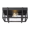 thumbnail image 4 of Golden Lighting Tribeca 2-light Outdoor Ceiling in Natural Black, 4 of 5