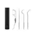 thumbnail image 2 of Neinkie 4Pcs/Set Dental Calculus Remover with Storage Tube Portable Simple Safe Effective Reduce Gingivitis Risk Lightweight Stainless Steel Toothpick Set for Home, 2 of 9