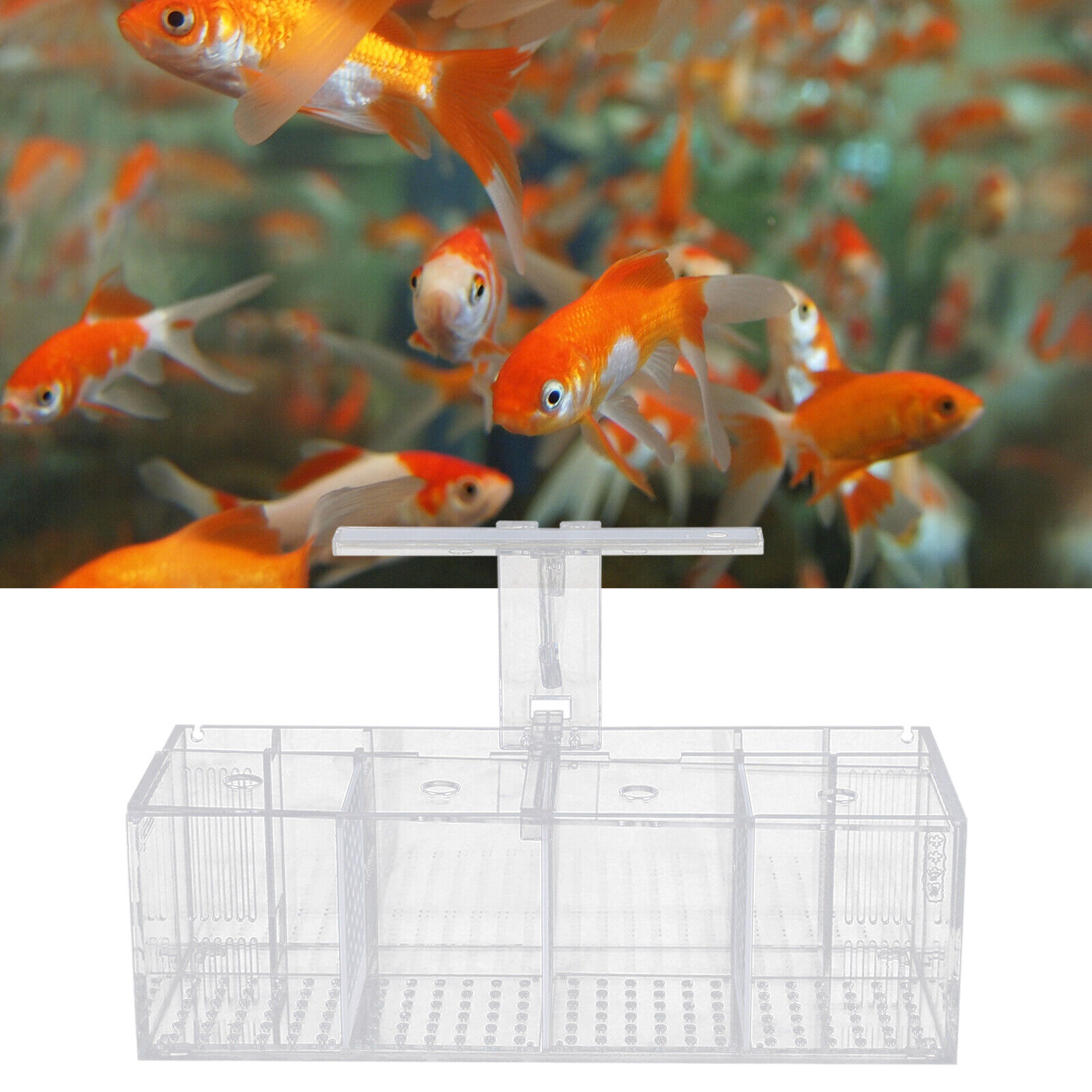 Miumaeov Acrylic Aquarium Tank Betta Fish Tank Transparent 4 Grid Fishes Tank with LED Lights