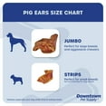 thumbnail image 3 of Downtown Pet Supply Pig Ears For Dogs - 6.5" Jumbo Dog Chew - 20 Pack, 3 of 9