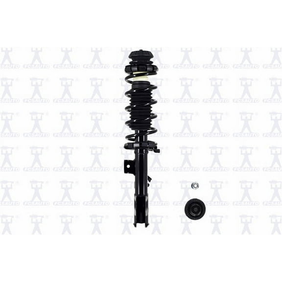 Suspension Strut and Coil Spring Assembly
