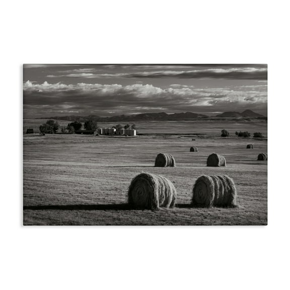 Stupell Industries Montana Hay Bales Landscape & Nature Photography Wrapped Canvas Art Print Wall Art, 24 x 16