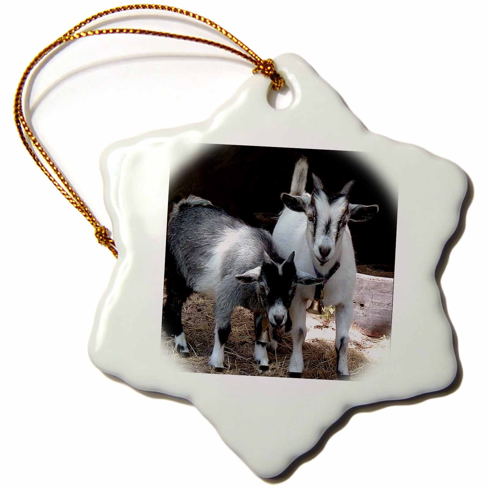 3dRose Pygmy Goat Snowflake Ornament, 3inch