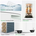thumbnail image 6 of Waykar 150 Pint Dehumidifier with Pump for Home & Basements, Energy Star, DOE 50 Pint, 7000 Sq. Ft, Continuous Drain Hose, 6 of 11
