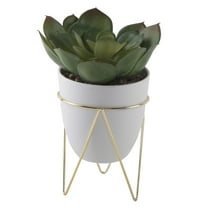 Artificial Succulent in 4.75" White Pot in a Gold Metal Stand