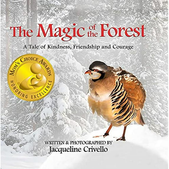 Pre-Owned The Magic of the Forest (Hardcover) 0578638568 9780578638560