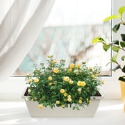 4-Pack Large Rectangular Indoor Plant Pots for Vegetable Growing, Garden for Home and Patio