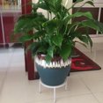 thumbnail image 5 of Plant Stand for Flower Pot Heavy Duty Potted Holder Indoor Outdoor, Metal Rustproof Iron Garden Container Round Supports Rack for Planter, 10 Inches, 5 of 5