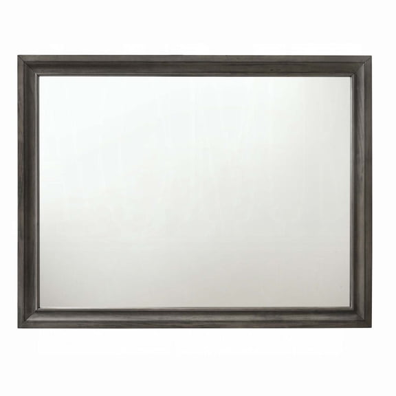 47"x36" Mirror, Gray Finish