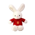 thumbnail image 2 of Muñeco de peluche de conejo de suéter rojo de 40 cm de altura para familiares y amigos chinos. Estilo D, 2 of 9