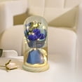 thumbnail image 6 of Fasiaou Mothers Day Mom Gifts: LED Galaxy Glass Flower Forever Rose in Glass Dome, Light Up Preserved Roses for Women, Mothers Day Birthday Gifts and Valentines Day Presents for Her,Dark Blue, 6 of 6