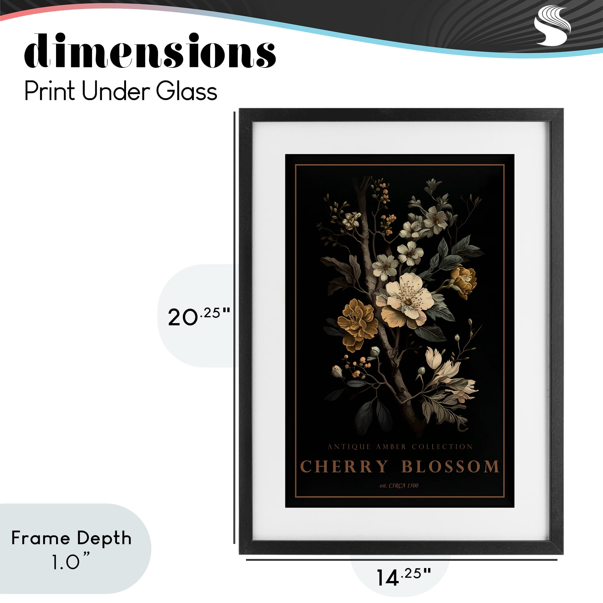 Stupell Industries Antique Cherry Blossom Light Black Framed Print Under Glass, design by Chris Giampietro
