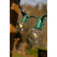 thumbnail image 3 of 2 Pcs Outdoor String Lights Globe String Lights 1.5 Inch E12 bulbs 100 Foot Green Wire C7 Strand Clear, 3 of 3