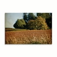 thumbnail image 2 of Gango Home Decor Vineyard Tapestry II by Rita Crane (Printed on Paper); One 36x24in Fine Art Paper Giclee Print, 2 of 4