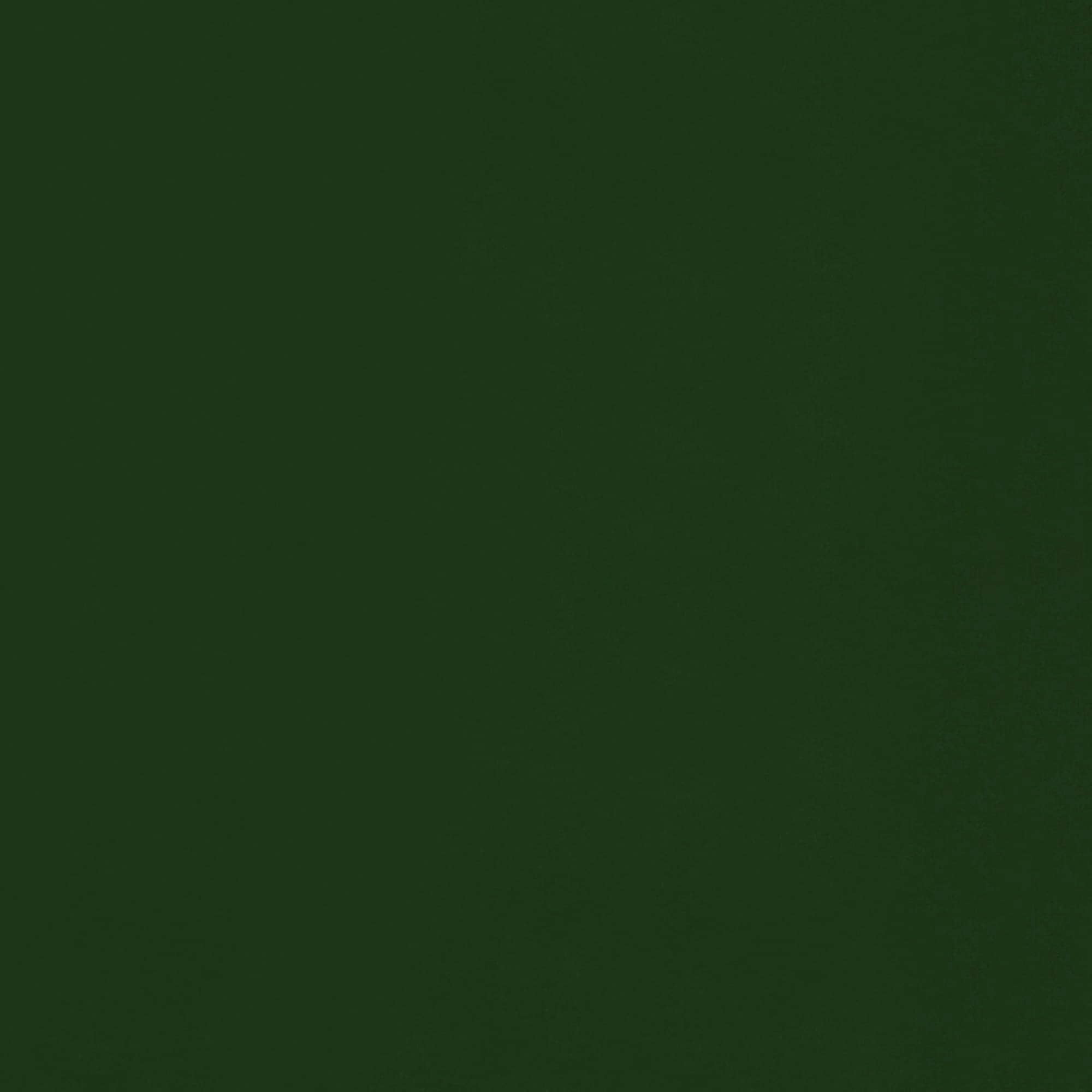 Humble and Haute Twin Size Hunter Green Futon Mattress 6inch