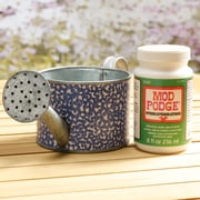 Mod Podge Outdoor, 16oz., 6 Pack