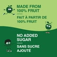 thumbnail image 3 of GoGo squeeZ Fruit Sauce Snack Pouches Multi-, Apple, No Sugar Added Box of 22 Pouches, 3 of 7