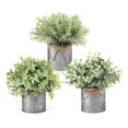 thumbnail image 1 of Justharion 3x Unique Long-Lasting Rural Rectangular Flower Potted Plants For Farmhouse Settings And Always, 1 of 6