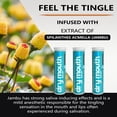 thumbnail image 4 of Xero Picks Dry Mouth relief - Wintergreen - Infused Flavored Toothpicks - 20 Picks - 3 Pack, 4 of 7