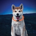 thumbnail image 3 of Nite Ize NiteHowl LED Safety Necklace - Orange, 3 of 5