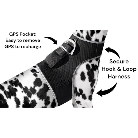 Realtime Waterproof Collar GSM GPS Dog Tracking Systems w/ Text Alerts Size:M
