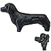 thumbnail image 3 of OLD NAIL SOURCE 2.25"- Dachshund Dog - DS-40 - Cabinet Knob Handle - for Gate, Drawer, Cabinet - Black Finish for Interior & Exterior Designing - DS-40 (10), 3 of 4