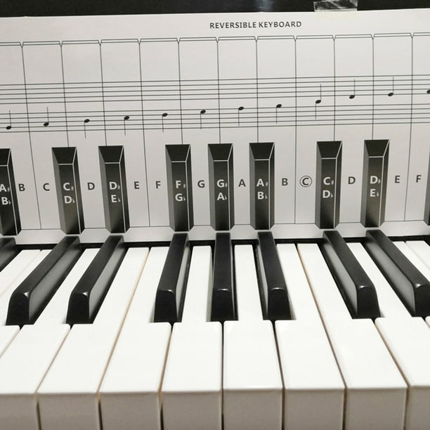 piano and keyboard note chart for behind the keys 88