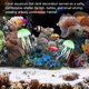 thumbnail image 5 of Adorno de Acuario de Medusa Artificial de 1 Paquete, Adorno de Medusa Flotante de Silicona con Ventosa, Adorno para Tanque de Peces [Verde], 5 of 6
