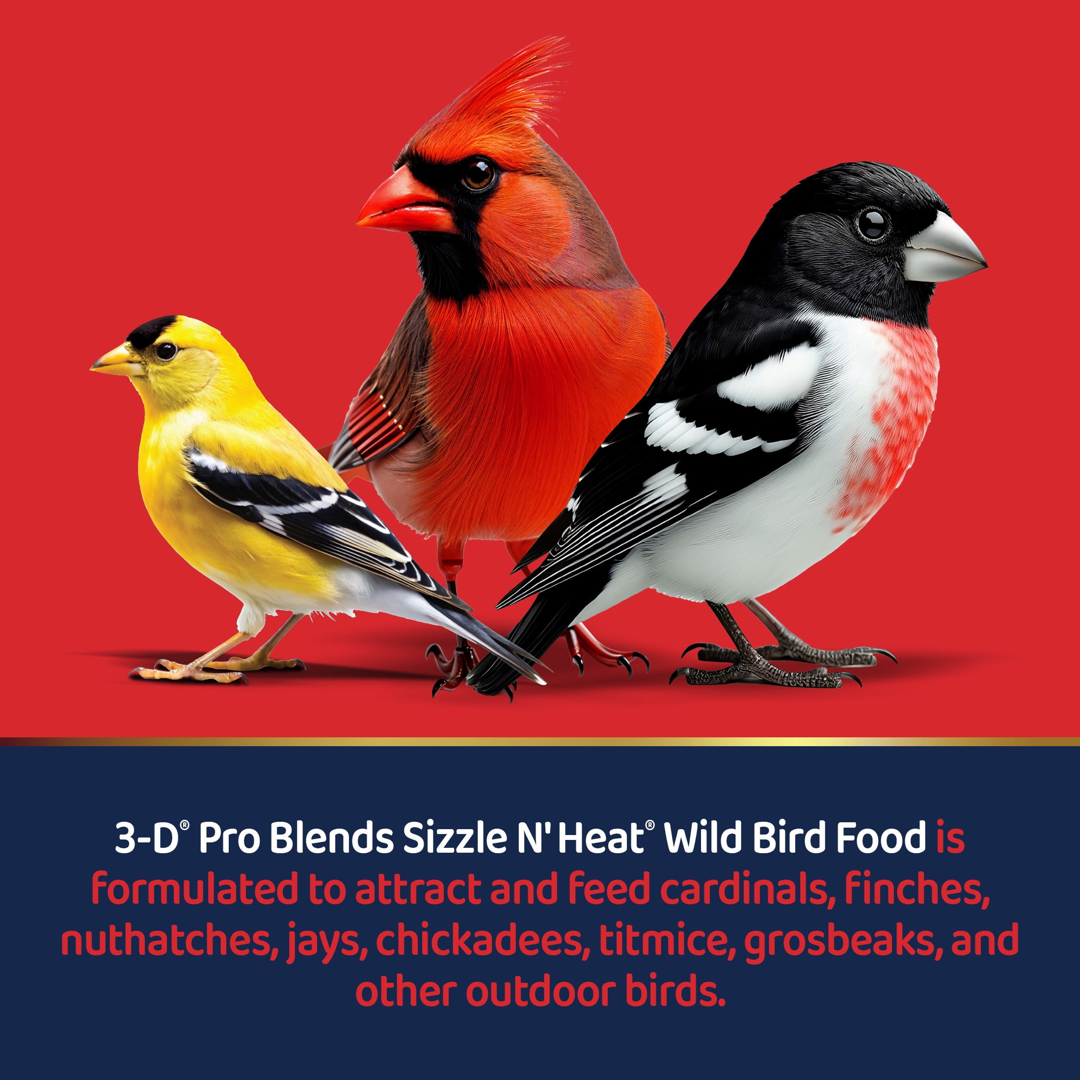 3-D Pro Blends Sizzle N' Heat, Wild Bird Food, Spicy Bird Seed to Prevent Squirrels, 5 Pounds