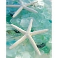 thumbnail image 1 of Seaglass 1 Poster Print by Alan Blaustein, 11 x 14 - Small, 1 of 1