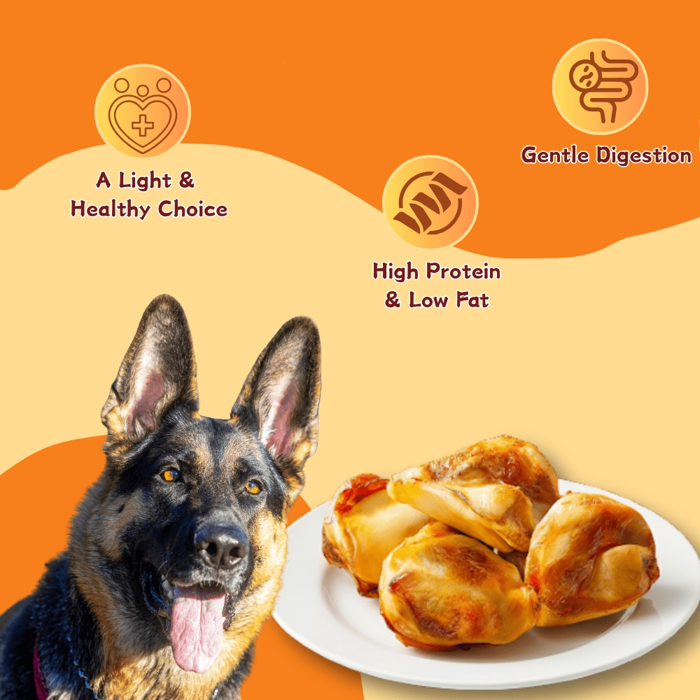 TenderTouch All-Natural, Slow-Roasted Beef Knee Bones, Dental Chews for Dogs, 6 Count Bag