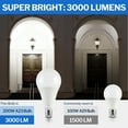 thumbnail image 4 of Great Value High Output A23 LED Light Bulb, 27-Watt (200W Equivalent), Daylight, E26 Medium Base, 4 of 10