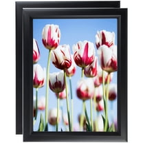 ArtToFrames 11" x 14" Satin Black Double Step Lip Picture Frame, 11x14 inch Black Wood Poster Frame (WOM-1418), 2 Pack