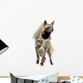 thumbnail image 1 of Striped Hyena Front White Wall Decal Sticker, Wallmonkeys Peel & Stick Vinyl Graphic (18 in H x 9 in W), 1 of 4