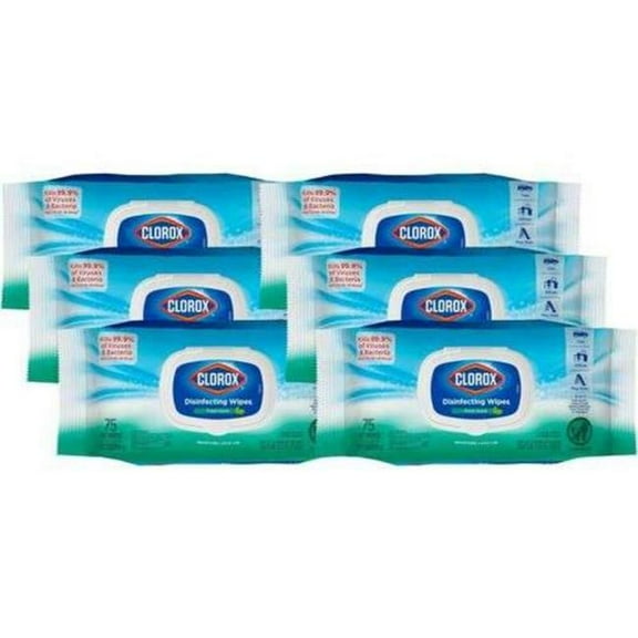 DDI 2379605 Clorox Disinfecting Bleach-Free Cleaning Wipes - Case of 6