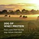 thumbnail image 4 of Proteína en polvo Solgar Grass Fed Whey to Go Chocolate, 1,04 kg, 4 of 8