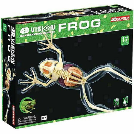 Space Model Systems - 4D Vision Full Skeleton Frog Model