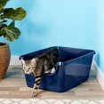 thumbnail image 2 of Frisco High Sided Cat Litter Box, Navy, Extra Large 24-in, 2 of 3