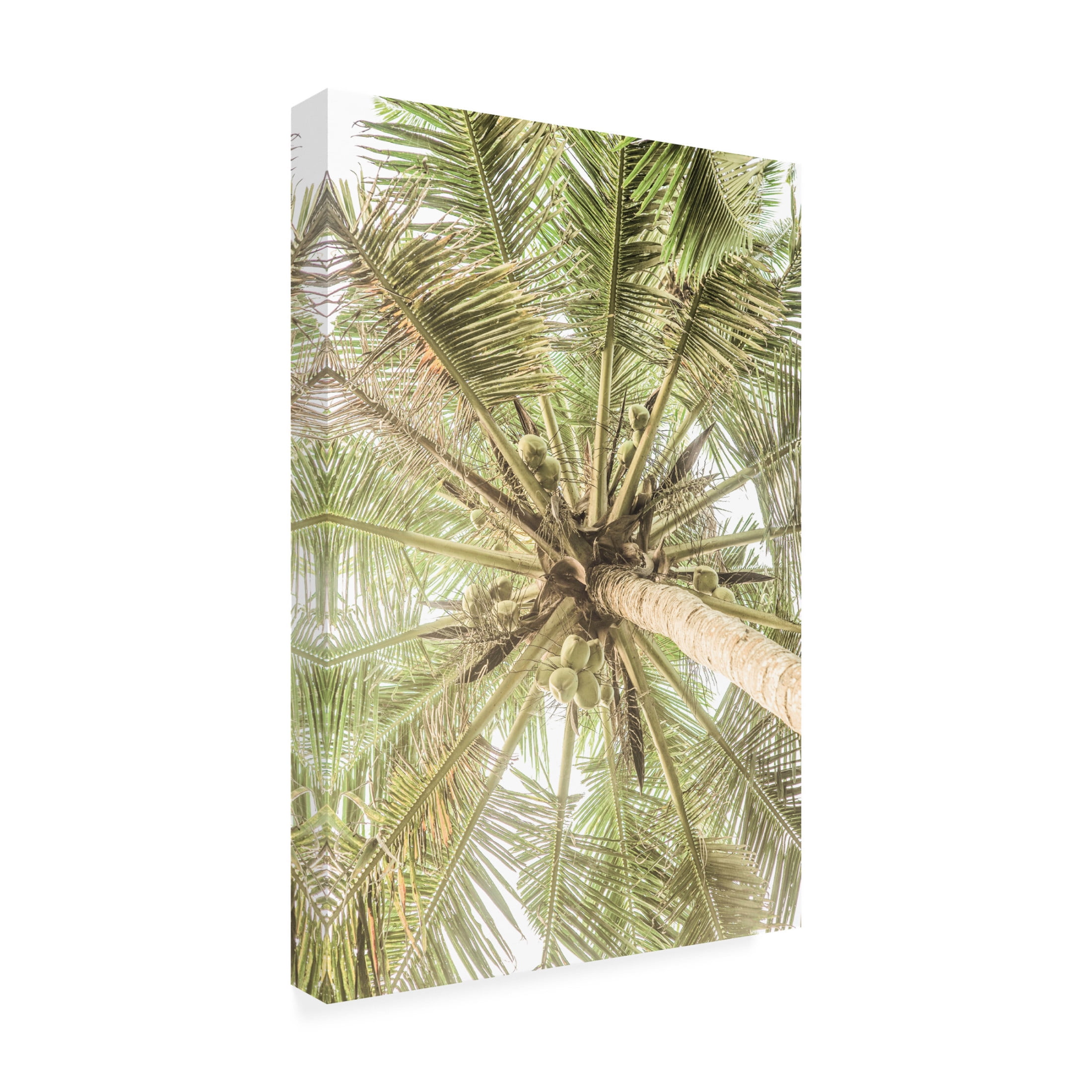 Trademark Fine Art Shot by Clint Coco Canvas Wall Art