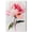 Gallery Wrapped, variant on Pink Haze Canvas Pastel Floral Art by Art Remedy, Black Frame, 36" x 54"