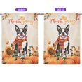 thumbnail image 2 of Happy Thanksgiving Boston Terrier with Turkey Pumpkins Autumn Vibes House Flag 28x40in Double Sided Gentleman Dog Lover Gifts Outdoor Decor - 12018, 2 of 5