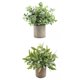 thumbnail image 1 of 2 miniplantas artificiales en maceta para interior y exterior, adorno para boda Hojas+Desmodium, 1 of 9