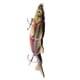 thumbnail image 3 of Pesca con crankbait y anzuelo, 5 cm /, 3 of 5