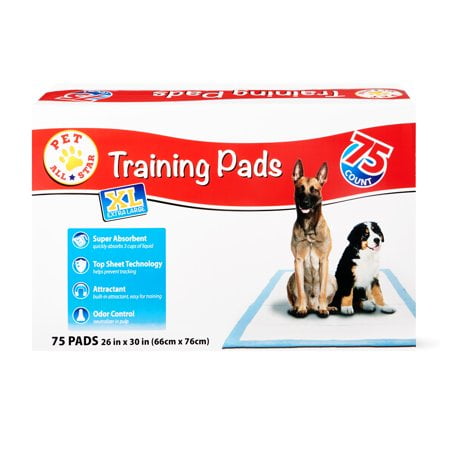 Shop Pet All Star Dog Training Supplies!