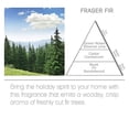thumbnail image 4 of Acqua Aroma Fraser Fir Reed Diffuser Oil Refill, 4 of 6