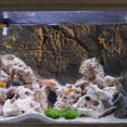 thumbnail image 1 of unbranded 1Ud Decorativo 3D Para Terrario De Reptiles Color Marrón Oscuro Duradero Y Práctico, 1 of 5